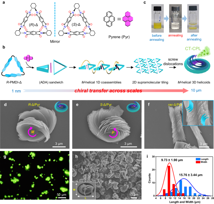 Macroscopic homochiral helicoids self-assembled via screw dislocations.