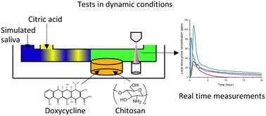 A novel microfluidic tool for the evaluation of local drug delivery systems in simulated in vivo conditions