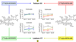 Comparison of the tolerability of <sup>161</sup>Tb- and <sup>177</sup>Lu-labeled somatostatin analogues in the preclinical setting.