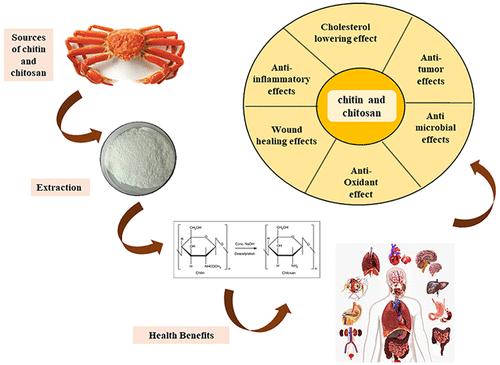 New Insights into Sources, Bioavailability, Health-Promoting Effects, and Applications of Chitin and Chitosan.