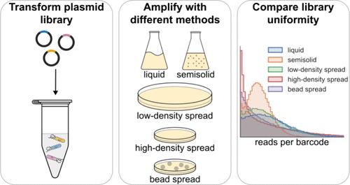 Culture Wars: Empirically Determining the Best Approach for Plasmid Library Amplification.