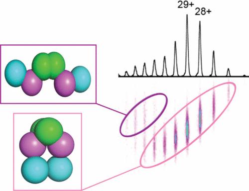 Time-Resolved Ion Mobility-Mass Spectrometry Reveals Structural Transitions in the Disassembly of Modular Polyketide Syntheses.