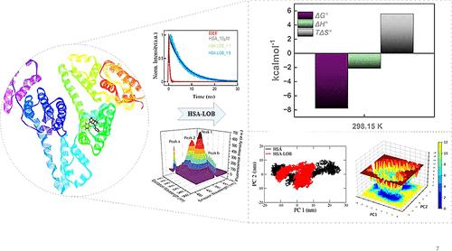 Multispectroscopic and Theoretical Investigation on the Binding Interaction of a Neurodegenerative Drug, Lobeline with Human Serum Albumin: Perturbation in Protein Conformation and Hydrophobic-Hydrophilic Surface.