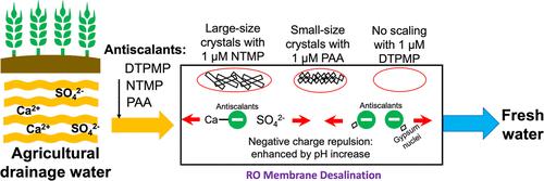 Mechanisms of Alleviating Gypsum Scaling by Antiscalants during Membrane Desalination: Implications on Agricultural Drainage Water Reuse