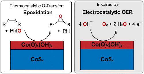 Thermocatalytic epoxidation by cobalt sulfide inspired by the material's electrocatalytic activity for oxygen evolution reaction†