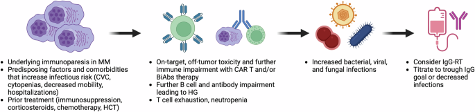 IgG replacement in multiple myeloma