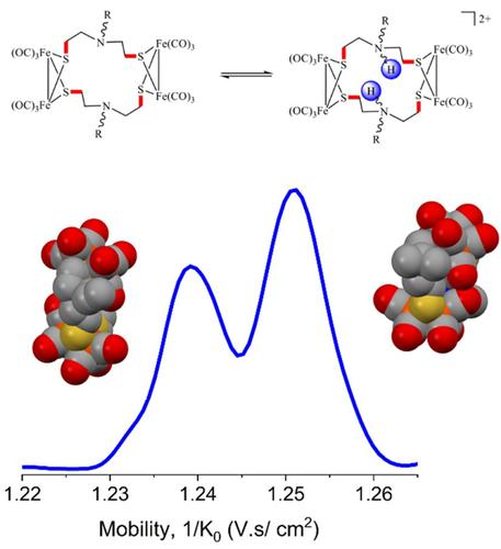 Structural characterization of iron azadiethylthiolate complexes: Insights from NMR, crystallography, and ion mobility-mass spectroscopy