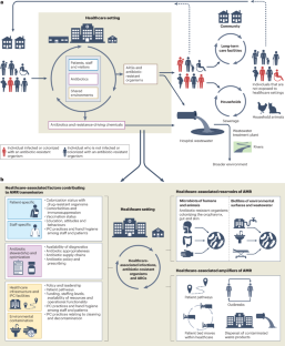 Healthcare as a driver, reservoir and amplifier of antimicrobial resistance: opportunities for interventions