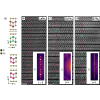 Realignment and suppression of charge density waves in the rare-earth tritellurides RTe3 (R=La, Gd, Er)