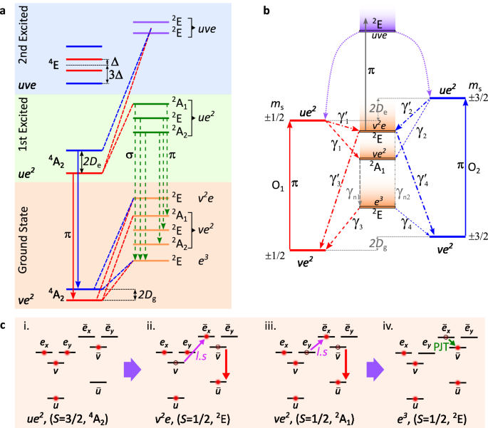 The silicon vacancy centers in SiC: determination of intrinsic spin dynamics for integrated quantum photonics