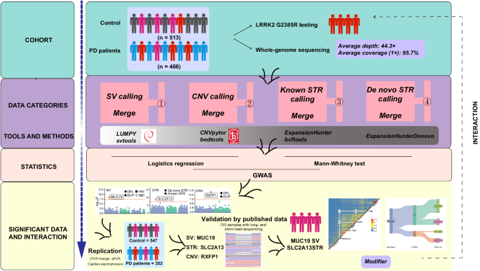 High-depth whole-genome sequencing identifies structure variants, copy number variants and short tandem repeats associated with Parkinson's disease.