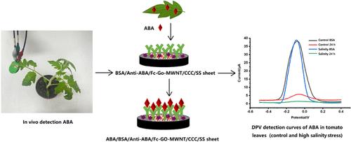 In Vivo Detection of Abscisic Acid in Tomato Leaves Based on a Disposable Stainless Steel Electrochemical Immunosensor