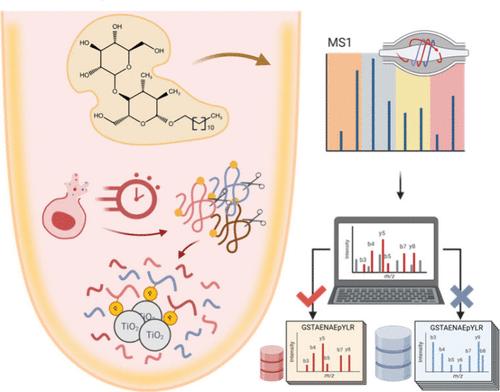 A Rapid One-Pot Workflow for Sensitive Microscale Phosphoproteomics.