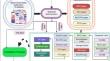 Leveraging hybrid 1D-CNN and RNN approach for classification of brain cancer gene expression