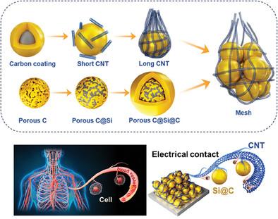 Advances in Carbon Nanotubes and Carbon Coatings as Conductive Networks in Silicon-based Anodes