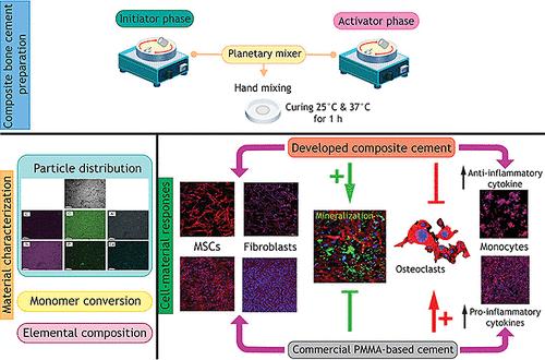 In Vitro Osteo-Immunological Responses of Bioactive Calcium Phosphate-Containing Urethane Dimethacrylate-Based Composites: A Potential Alternative to Poly(methyl methacrylate) Bone Cement