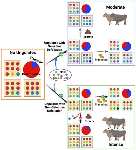 Ungulate herbivores promote beta diversity and drive stochastic plant community assembly by selective defoliation and trampling: From a four-year simulation experiment