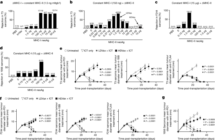 Neoantigen-specific cytotoxic Tr1 CD4 T cells suppress cancer immunotherapy