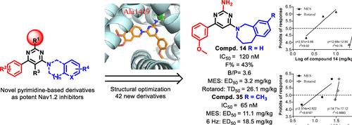 Discovery of Novel Pyrimidine-Based Derivatives as Nav1.2 Inhibitors with Efficacy in Mouse Models of Epilepsy.