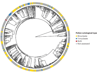 Pollen banking is a critical need for conserving plant diversity.