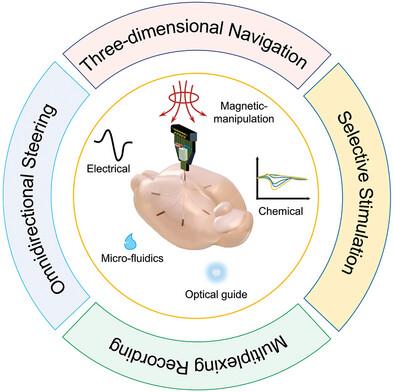 Ferromagnetic Fiber Systems for Multiplexing Neural Recording and Modulation with Spatial Selectivity