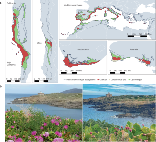 The dramatic effects of well-intentioned but ill-designed management strategies in plant biological invasions