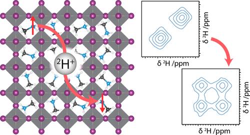 Hydrogen Diffusion in Hybrid Perovskites from Exchange NMR