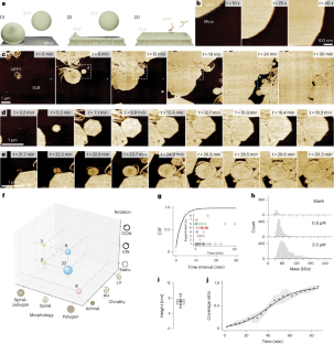 The cyanobacterial protein VIPP1 forms ESCRT-III-like structures on lipid bilayers