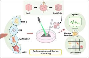 A cubic Cu2O@Ag bioprobe for label-free SERS classification of hepatic fibrosis and hepatocellular carcinoma†