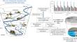 Trace element profile of TSPM with depth within opencast coal mines for risk assessment and their source apportionment