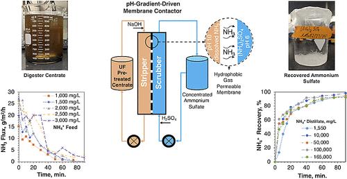 Membrane Contactors for Ammonia Recovery from Anaerobic Digester Centrate: Pretreatment and Process Optimization