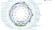 Bioinformatic and Functional Analysis of the pSID Siderophore Biosynthesis Plasmid of Rhodococcus pyridinivorans 5Ap