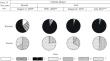 Halomorphic Soils of Coastal Designs of Endorous Pulsating Chloride Lakes During the Regressive (Arid) Climatic Phase