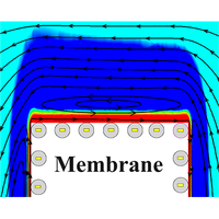 Ion steric interactions and electrostatic correlations on electro-osmotic flow in charged nanopores with multivalent electrolytes