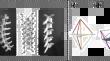 A unified approach to dynamic analysis of tensegrity structures with arbitrary rigid bodies and rigid bars