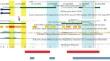 Methylation Levels in the 5' Region of the TBX20 Gene in the Ascending Aorta Change in Opposite Direction in Atherosclerosis and Aneurysm