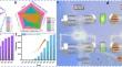 A Review of Anode Materials for Dual-Ion Batteries