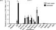 Gene expression and protein localization of Cl− transporters, Slc26a6 and Cftr, in the gill ionocytes of rainbow trout