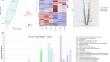 Exploratory comparative transcriptomic analysis reveals potential gene targets associated with Cry1A.105 and Cry2Ab2 resistance in fall armyworm (Spodoptera frugiperda)