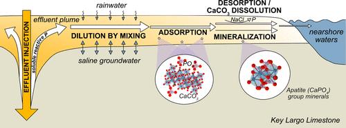 The Efficiency of Phosphate Removal via Shallow Wastewater Injection into a Saline Carbonate Aquifer