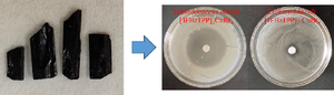 Syntheses, Characterization, Crystal Structures and Antimicrobial Properties of a New Organic-Inorganic Hybrid [4FBzTPP]2[CuBr4]