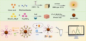 Bidirectional hybridized hairpin DNA fluorescent aptasensor based on Au–Pd NPs and CDs for ratiometric detection of AFB1