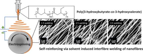 Poly(3-Hydroxybutyrate-co-3-Hydroxyvalerate) Self-Reinforced Composites via Solvent-Induced Interfiber Welding of Nanofibers