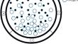 Characterization and Photocatalytic Properties of ZnO Tetrapods Synthesized by High-Temperature Pyrolysis