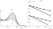 The Effect of a Magnetic Field on the Generation of Free Radicals in the Interaction of Quaternary Ammonium Compounds with Hydroperoxides