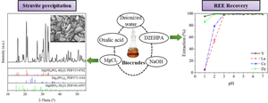 Process Development for Rare Earth Elements Recovery and Struvite Production from Biocrudes