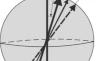 Remagnetization kinetics of soft ferrogels