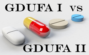 Evaluation of the Generic Drug User Fee Act (GDUFA) Program for Fiscal Years 2013-2022.