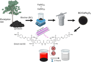 Eco-Friendly Photodegradation of Direct Red 80 Dye Mediated by Biochar Decorated with Cobalt Ferrite