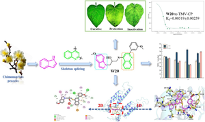 Design, synthesis and antiviral activity of indole derivatives containing quinoline moiety.